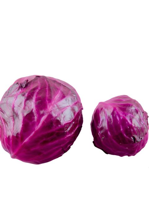 Cabbage (red)