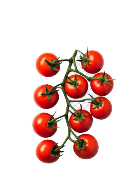 Cherry Tomatoes