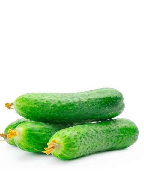 CUCUMBER (SHORT)