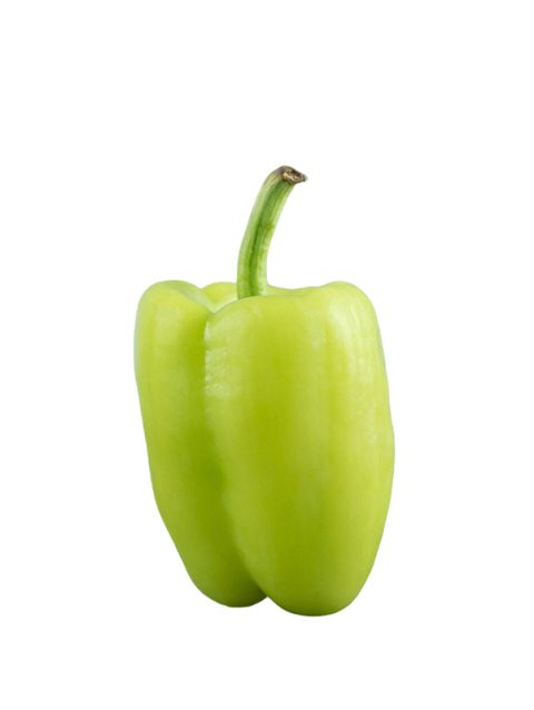 Pepper (Babur)