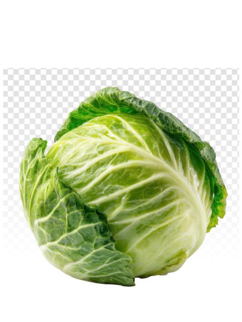 Cabbage